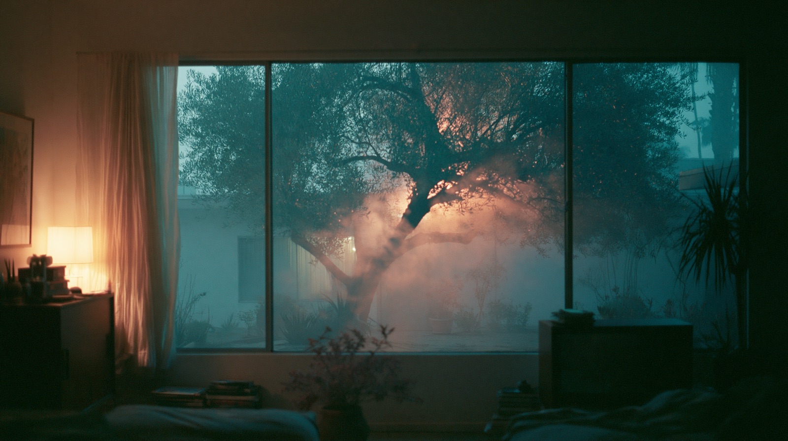 A dim, warm room at dusk looking out at a great misty tree